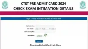 ctet admit card 2024